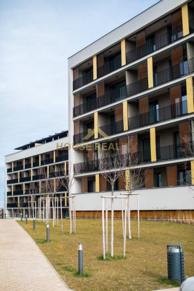 Rent One bedroom apartment, One bedroom apartment, Hany Ponickej, Brat