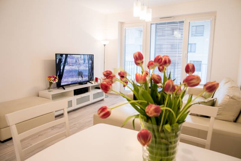 Rent One bedroom apartment, One bedroom apartment, Hany Ponickej, Brat