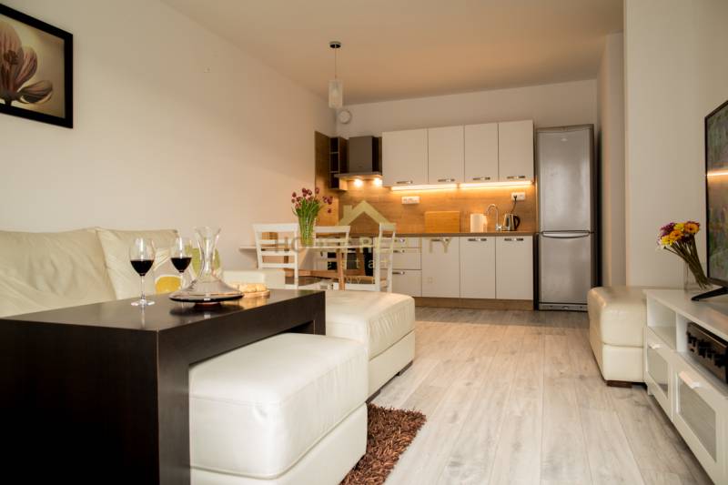 Rent One bedroom apartment, One bedroom apartment, Hany Ponickej, Brat