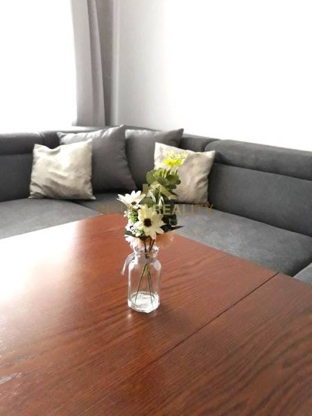 Rent Two bedroom apartment, Two bedroom apartment, Hany Ponickej, Brat