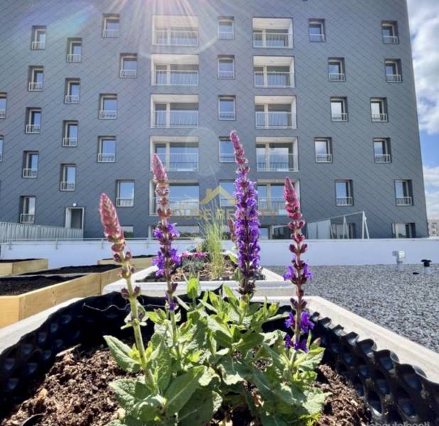 Rent One bedroom apartment, One bedroom apartment, Ivanská cesta, Brat