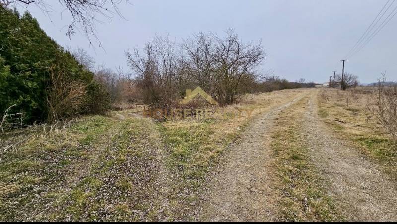 Sale Recreational land, Recreational land, Senec, Slovakia