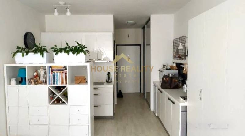 Rent Single studio, Single studio, Žltá, Bratislava - Petržalka, Slova