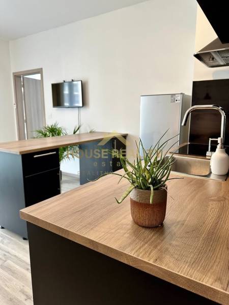 Rent One bedroom apartment, One bedroom apartment, Zuzany Chalupovej, 