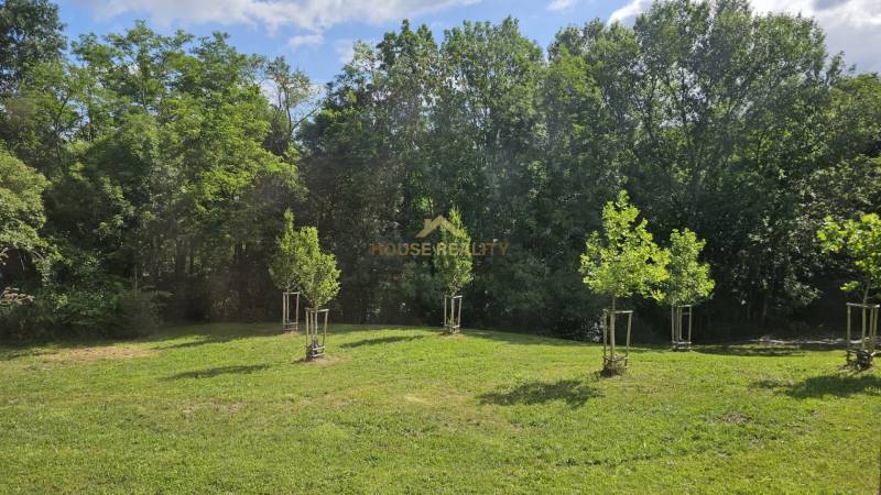 Rent Three bedroom apartment, Three bedroom apartment, Púpavová, Brati