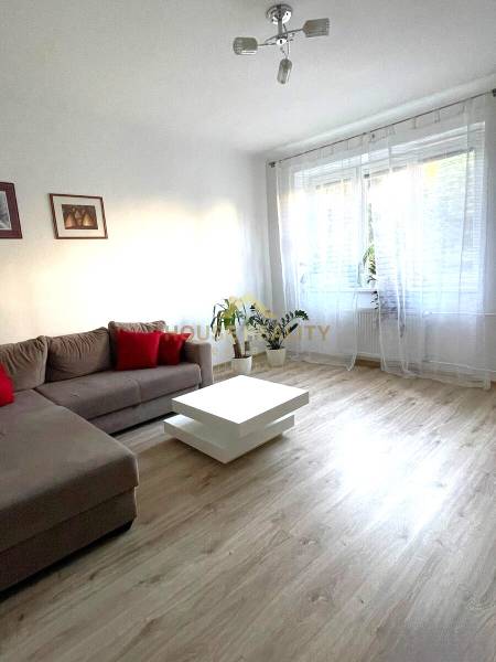 Rent One bedroom apartment, One bedroom apartment, Trnavská, Bratislav