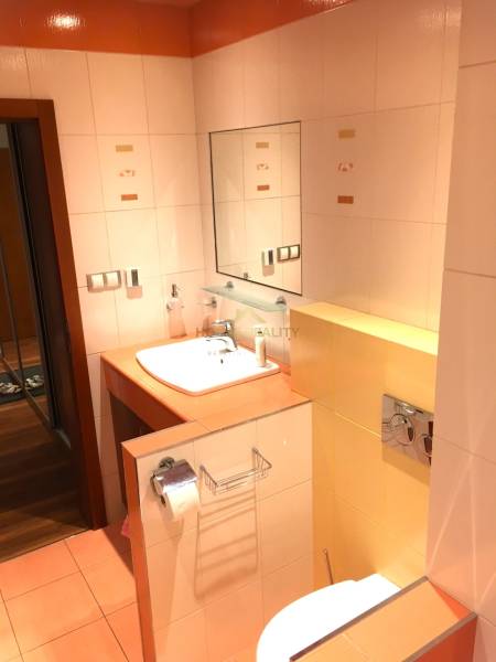 Rent One bedroom apartment, One bedroom apartment, Teplická, Bratislav