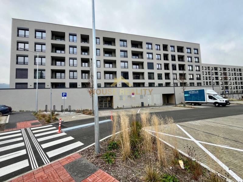 Rent One bedroom apartment, One bedroom apartment, Mateja Encingera, B