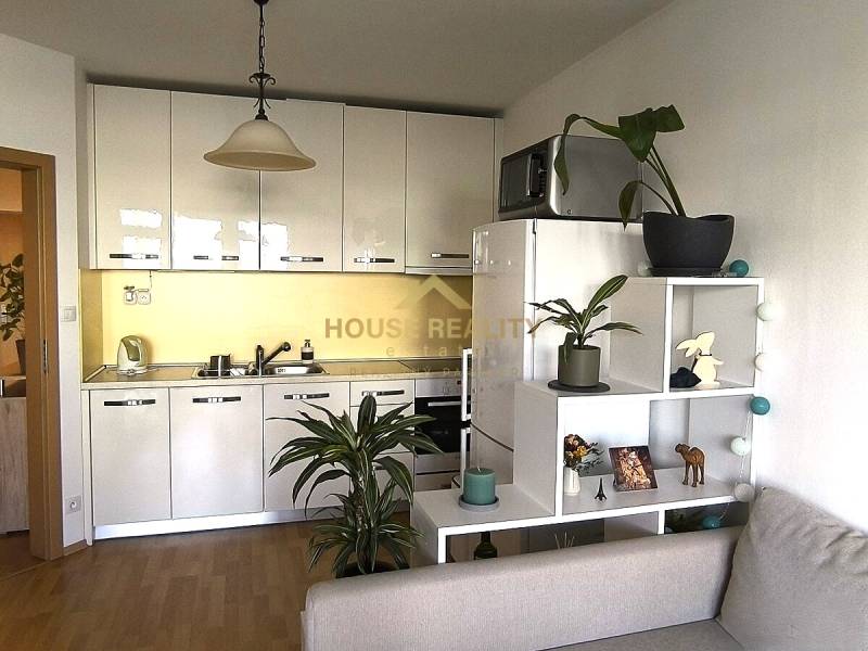 Rent One bedroom apartment, One bedroom apartment, Jégeho, Bratislava 