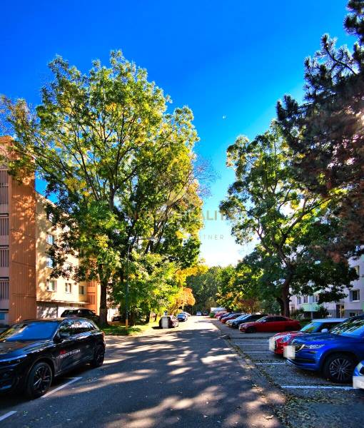 Sale One bedroom apartment, One bedroom apartment, A.Gwerkovej, Bratis