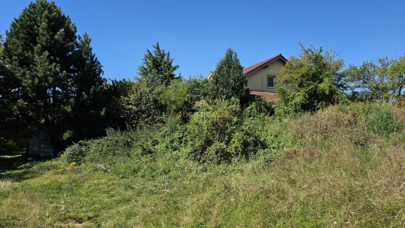 Sale Land – for living, Land – for living, Senec, Slovakia