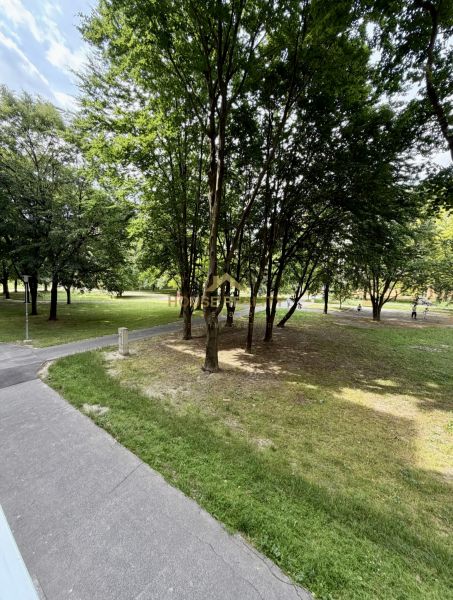 Rent Three bedroom apartment, Three bedroom apartment, Wolkrova, Brati