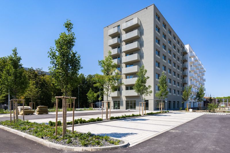 Rent Studio, Studio, Ivanská cesta, Bratislava - Ružinov, Slovakia