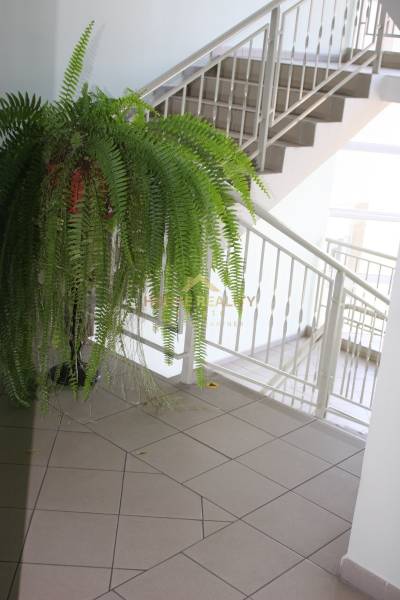 Rent One bedroom apartment, One bedroom apartment, Heyrovského, Bratis