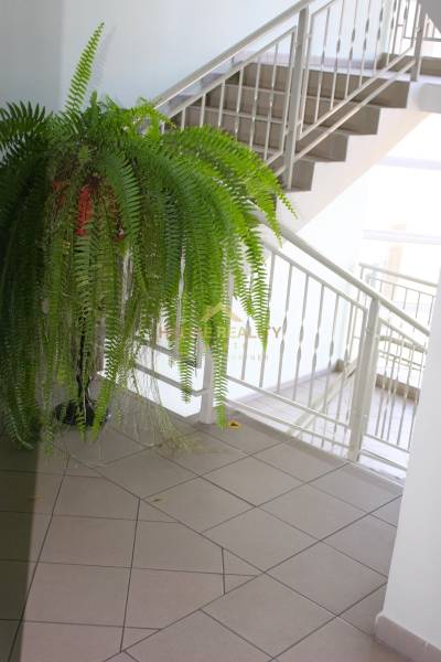 Rent One bedroom apartment, One bedroom apartment, Heyrovského, Bratis