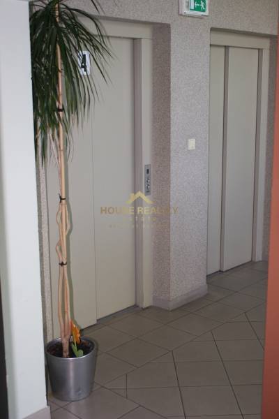 Rent One bedroom apartment, One bedroom apartment, Heyrovského, Bratis